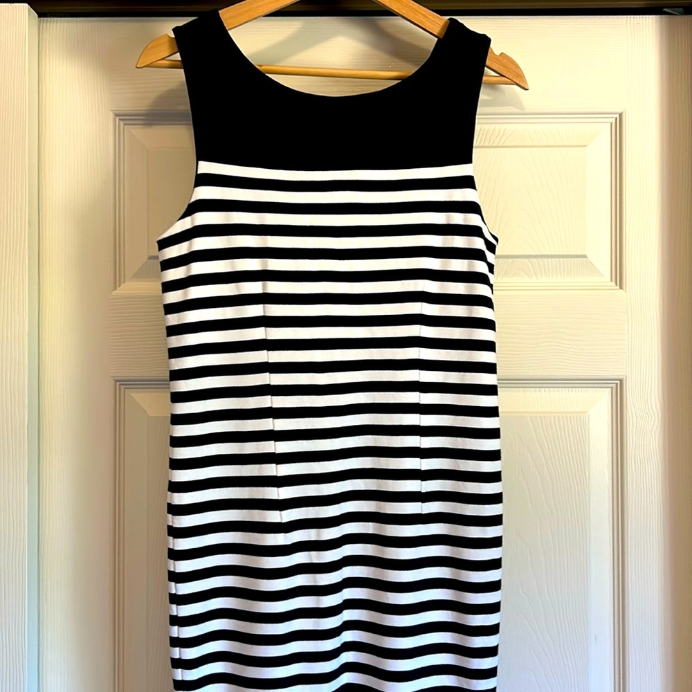 Banana Republic Size 6 Navy and White Striped Dress